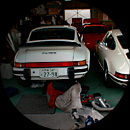 pic2.gif